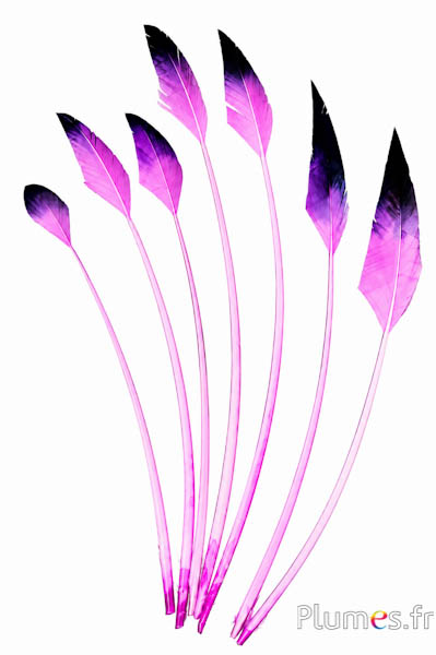 Zwaan pijl - 28-33 cm - roze-zwart